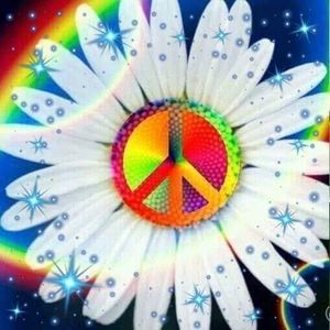 Meet your Posher, Lynn